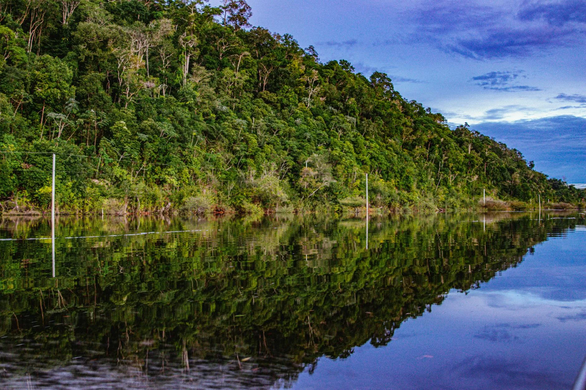 Pourquoi l'Amazonie péruvienne est-elle unique ?