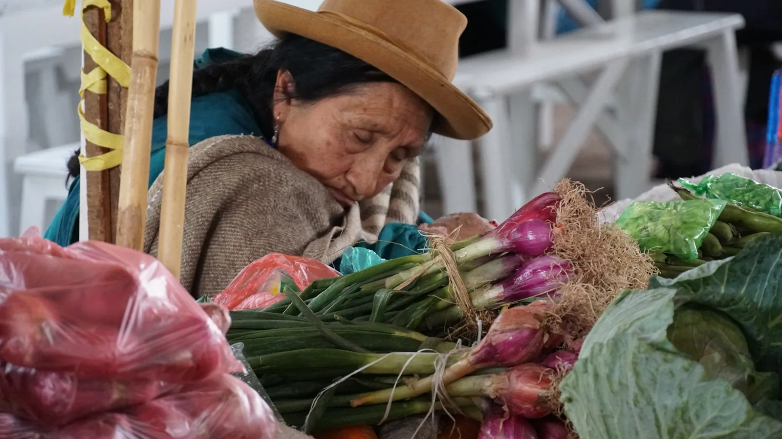 Rocoto relleno et plats traditionnels d'Arequipa servis sur une table en pierre volcanique blanche