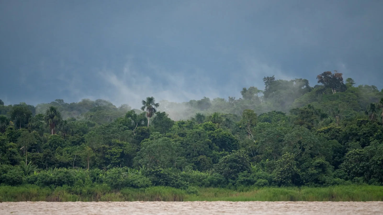 Fièvre jaune : le vaccin clé pour l'Amazonie péruvienne