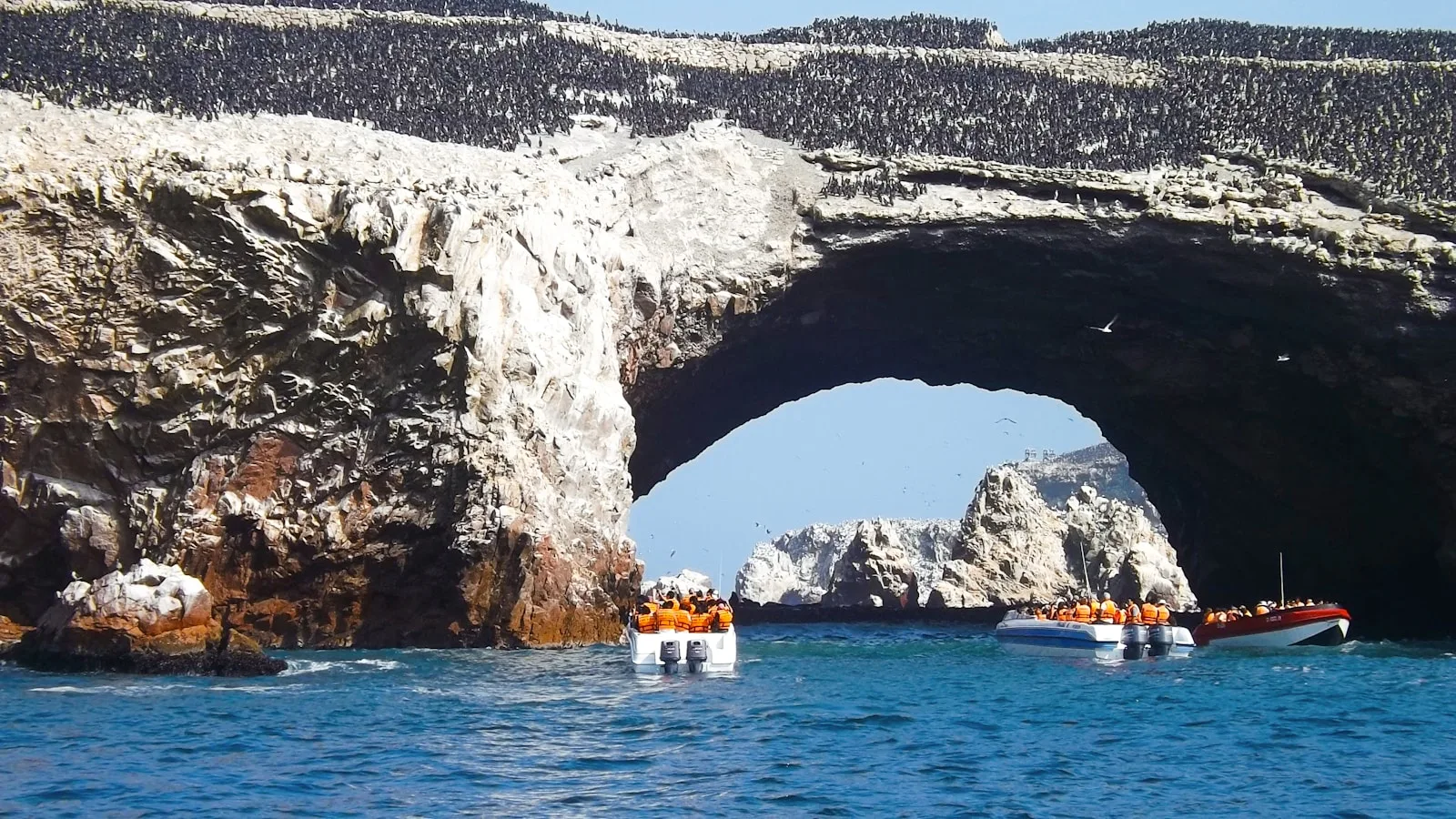 Paracas et les îles Ballestas : le Pacifique sauvage